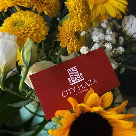 Plaza 4* Μπότεβγκραντ